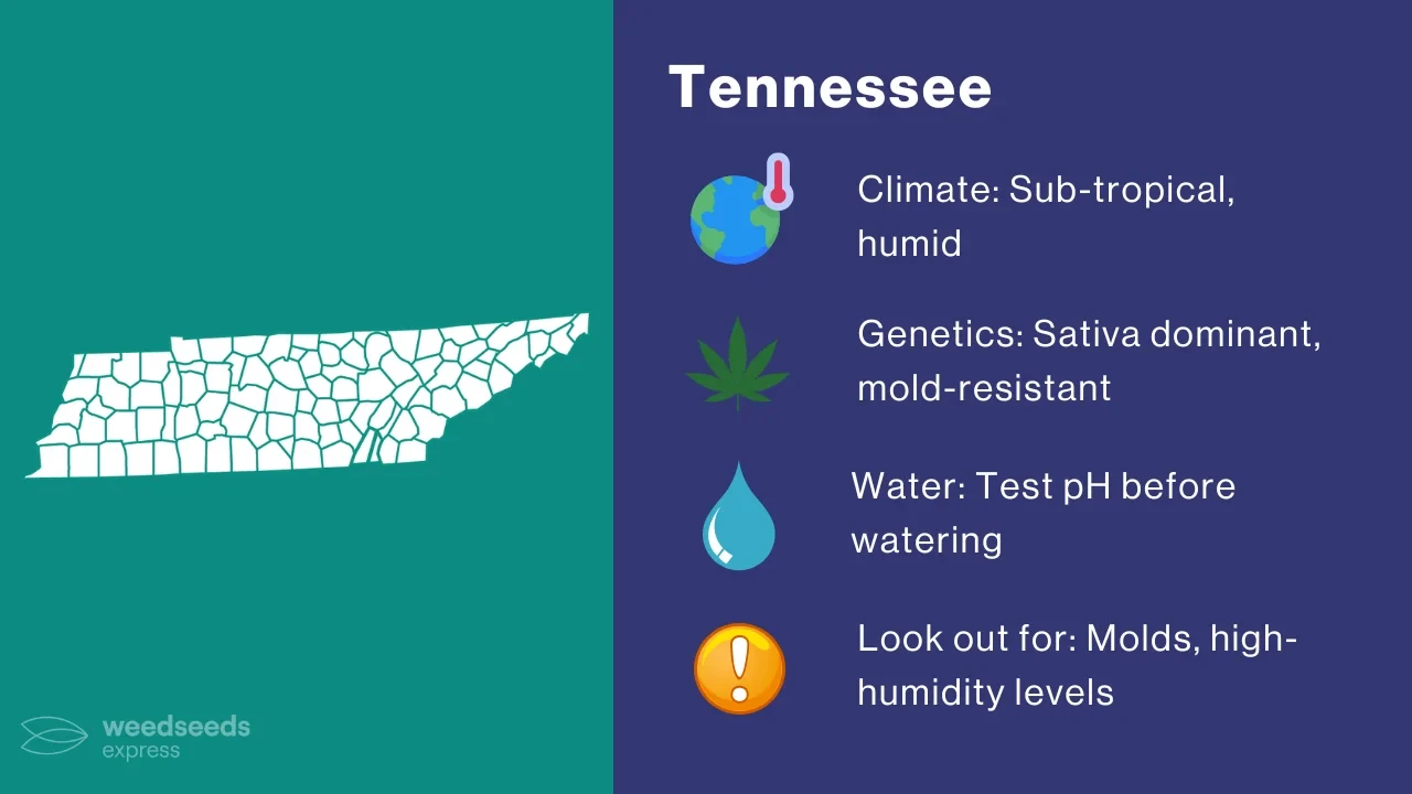 Cannabis Growing Climate in Tennessee